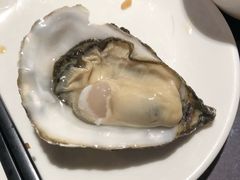 生蚝-協成海鮮火鍋(老店)