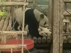 -大连森林动物园