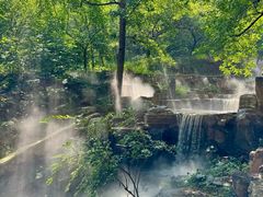 -北京西山国家森林公园