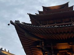 -杭州半山国家森林公园