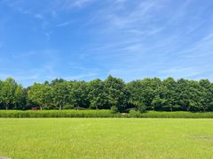 -宜兴龙背山森林公园