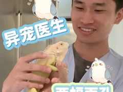 -立德异宠动物医院.兔鸟爬.内窥镜(天河店)