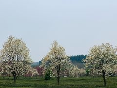-凤凰沟景区