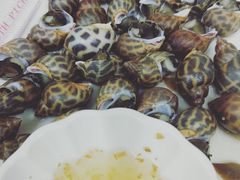 白灼鳳螺-梅鑫海产店