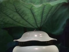 -四川宋瓷博物馆