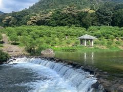 -广州市石门国家森林公园