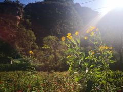 -孤山寨风景区