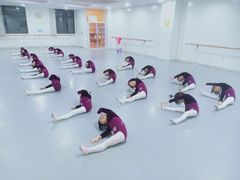 -西安小天鹅艺术团(金花路校区)