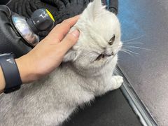 -M.S拳击泰拳馆(大学路店)