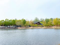 -永定河休闲森林公园