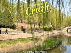 -元大都城垣遗址公园