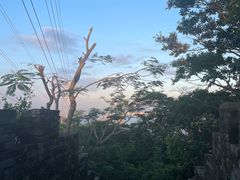-小南山公园