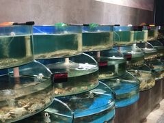 水产区-蓝珊甄选海鲜自助·火锅大排档(近阿那亚店)