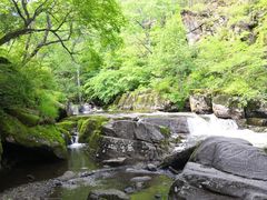-茅兰沟国家森林公园