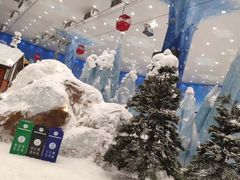 -长沙湘江冰雪世界