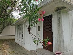 -上海财经大学(国定路校区)