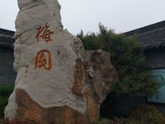 -梅园