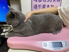 -芭比堂动物医院广州顽皮分院