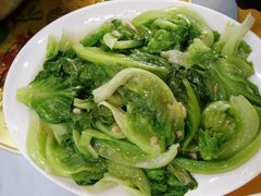耗油生菜-春园海鲜广场D区6号(钟姐海鲜加工店)