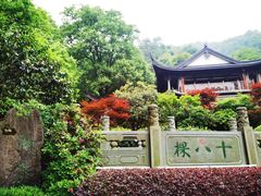 -十八棵（老龙井）御茶园(老龙井店)