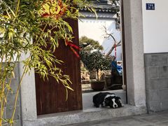 -雨花胜境