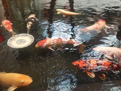 -唐山河头老街国丰维景国际大酒店