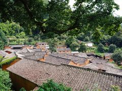 -杨家堂村