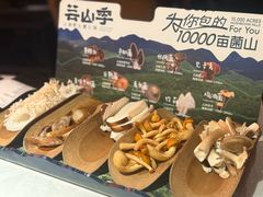 -芸山季·云南野生菌火锅(人民广场来福士店)