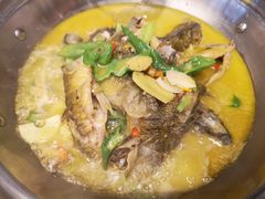 -饭怕鱼(阳光100店)