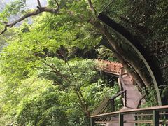 -太鲁阁公园