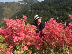 -木兰云雾山