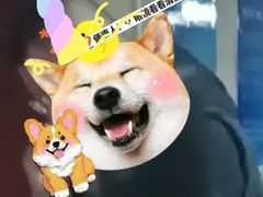 -温州市中西医结合医院