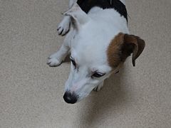 -动物缘宠物医院·骨科·猫科(西二环店)