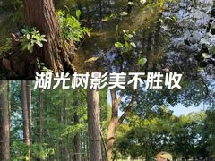 -东湖落雁景区