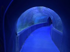 -左海海底世界