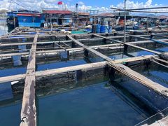 -蓝湾碧波·老字号·疍家非遗海上餐厅