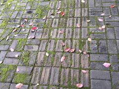 -芜湖方特旅游度假区