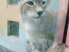 -青藏高原野生动物园