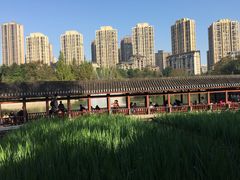 -龙头寺公园
