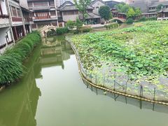 -龙潭水乡