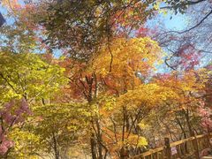 -本溪关山湖风景区