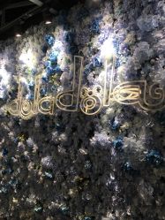 -doladola(徐家汇店)
