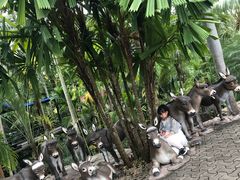 -东芭乐园