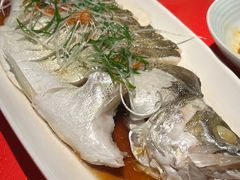 -春色如许·茶食餐厅(桃李春风店)