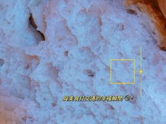 -秋林食品(秋林公司店)