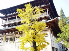 -径山寺