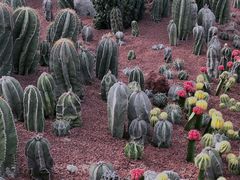 -南通洲际绿博园