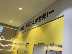 -洗脸猫·洗脸吧