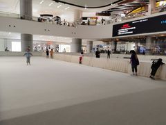 -TheRink大零溜冰场(IFS国金中心店)