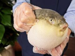 -肆月河豚·淮扬菜·湘菜(华天店)